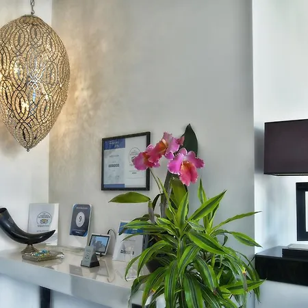 Отель Exclusive 4*